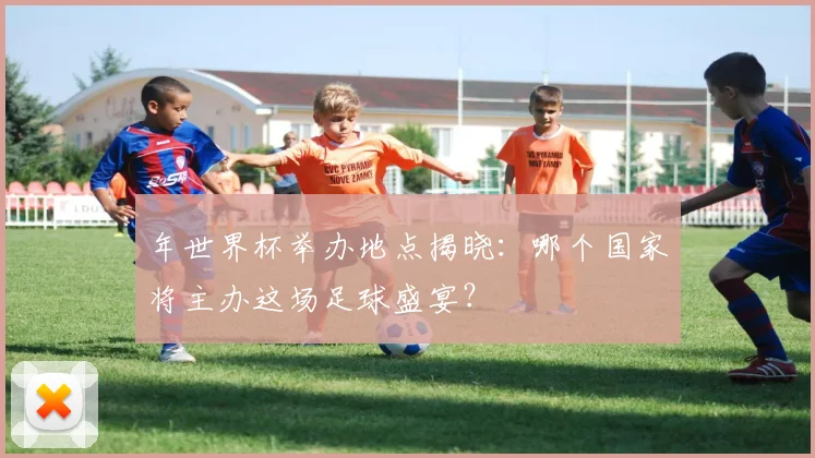 年世界杯举办地点揭晓:哪个国家将主办这场足球盛宴?