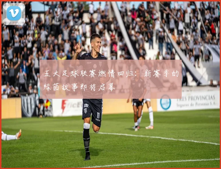 五大足球联赛燃情回归:新赛季的绿茵故事即将启幕
