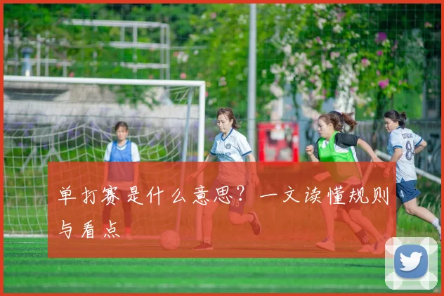 单打赛是什么意思?一文读懂规则与看点